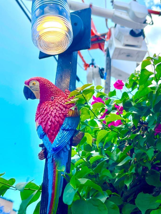 Centrica Calle 8 Privatunterkunft Miami